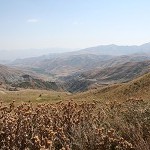 IMG_7931.jpg