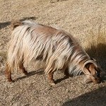 IMG_8025.jpg