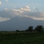 IMG_8049.jpg