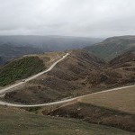 IMG_8092.jpg