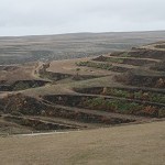 IMG_8093.jpg