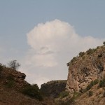 IMG_8130.jpg