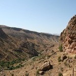 IMG_8198.jpg