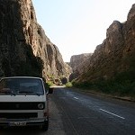 IMG_8229.jpg