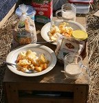 IMG_8266.jpg