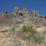IMG_8272.jpg