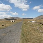 IMG_8339.jpg