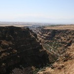 IMG_8368.jpg