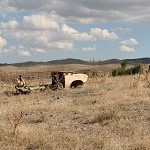 IMG_8388.jpg