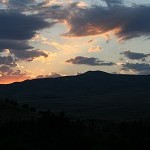 IMG_8402.jpg