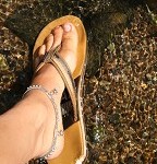 IMG_8447.jpg
