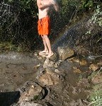 IMG_8513.jpg