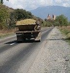 IMG_8533.jpg