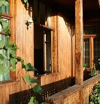 IMG_8576.jpg