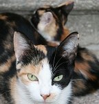 IMG_8594.jpg