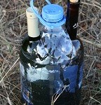 IMG_8636.jpg