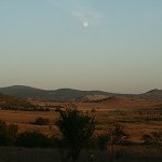 IMG_8640.jpg