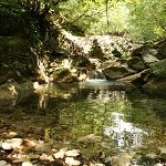 IMG_8664.jpg