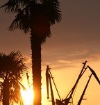 IMG_8740.jpg
