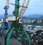IMG_8761.jpg