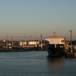 IMG_8815.jpg