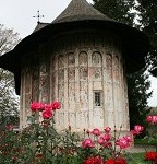 IMG_8855.jpg