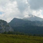 DSC_0170.jpg