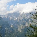 DSC_0185.jpg
