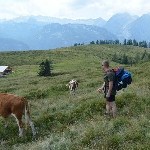 DSC_0193.jpg