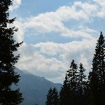 DSC_0196.jpg