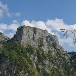 DSC_0198.jpg