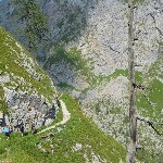 DSC_0201.jpg
