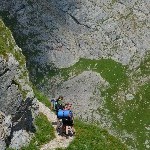DSC_0205.jpg
