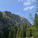 DSC_0207.jpg