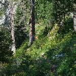 DSC_0218.jpg