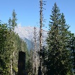 DSC_0224.jpg