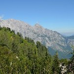 DSC_0229.jpg