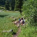 DSC_0241.jpg