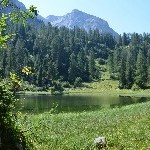 DSC_0242.jpg