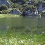DSC_0245.jpg