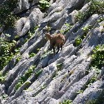 DSC_0247.jpg