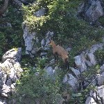 DSC_0248.jpg