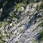 DSC_0249.jpg