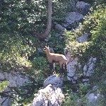 DSC_0251.jpg