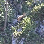 DSC_0253.jpg