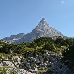 DSC_0264.jpg