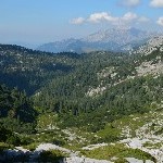 DSC_0266.jpg