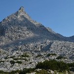 DSC_0267.jpg