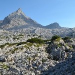 DSC_0268.jpg