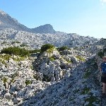 DSC_0269.jpg
